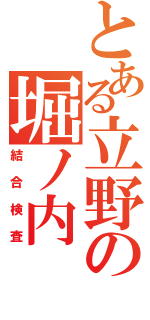 とある立野の堀ノ内（結合検査）