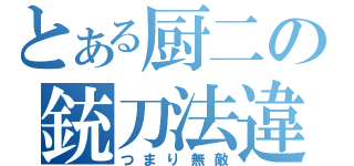 とある厨二の銃刀法違反（つまり無敵）