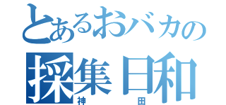 とあるおバカの採集日和（神田）