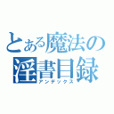 とある魔法の淫書目録（アンデックス）