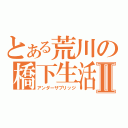 とある荒川の橋下生活Ⅱ（アンダーザブリッジ）