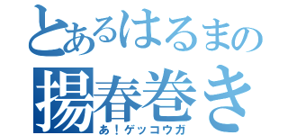 とあるはるまの揚春巻き（あ！ゲッコウガ）