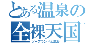 とある温泉の全裸天国（ソープランドと混浴）