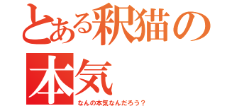 とある釈猫の本気（なんの本気なんだろう？）