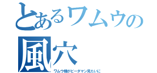 とあるワムウの風穴（ワムウ様がビーダマン見たいに）