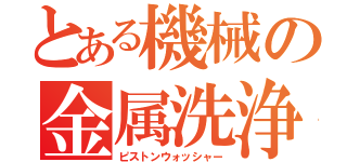 とある機械の金属洗浄（ピストンウォッシャー）