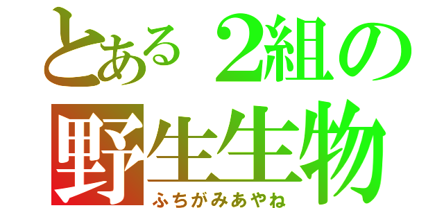 とある２組の野生生物（ふちがみあやね）