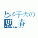 とある子犬の思 春 期（破廉恥ブルドック）