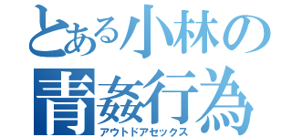 とある小林の青姦行為（アウトドアセックス）