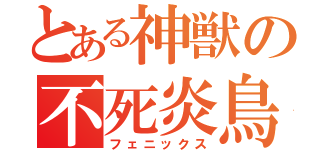 とある神獣の不死炎鳥（フェニックス）