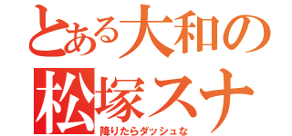 とある大和の松塚スナ重（降りたらダッシュな）