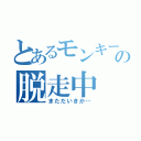 とあるモンキーの脱走中（まただいきか…）