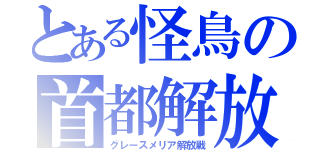 とある怪鳥の首都解放（グレースメリア解放戦）