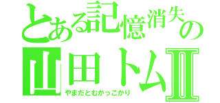 とある記憶消失の山田トム（仮）Ⅱ（やまだとむかっこかり）