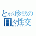 とある珍獣の日々性交（男もあるよ）