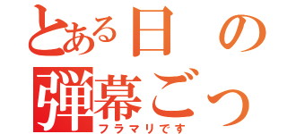 とある日の弾幕ごっこ（フラマリです）