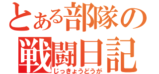 とある部隊の戦闘日記（じっきょうどうが）