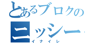 とあるブロクのニッシー（イナイレ）