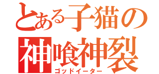 とある子猫の神喰神裂（ゴッドイーター）