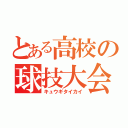 とある高校の球技大会（キュウギタイカイ）