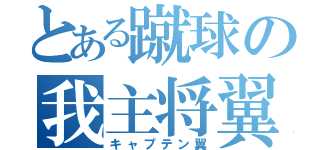 とある蹴球の我主将翼（キャプテン翼）