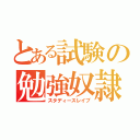 とある試験の勉強奴隷（スタディースレイブ）