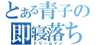 とある青子の即寝落ち（ドリームイン）