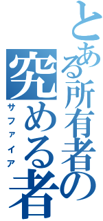 とある所有者の究める者（サファイア）