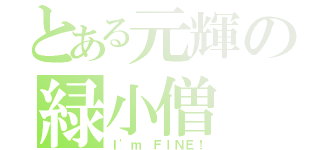 とある元輝の緑小僧（Ｉ\'ｍ ＦＩＮＥ！）