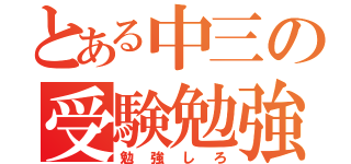 とある中三の受験勉強（勉強しろ）