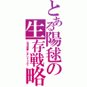 とある陽毬の生存戦略（生存戦略しましょうか？）