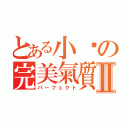 とある小雞の完美氣質Ⅱ（パーフェクト）