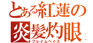 とある紅蓮の炎髪灼眼（フレイムヘイズ）