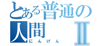 とある普通の人間Ⅱ（にんげん）