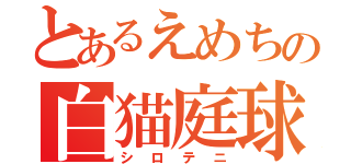 とあるえめちの白猫庭球（シロテニ）