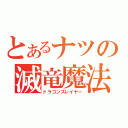 とあるナツの滅竜魔法（ドラゴンスレイヤー）