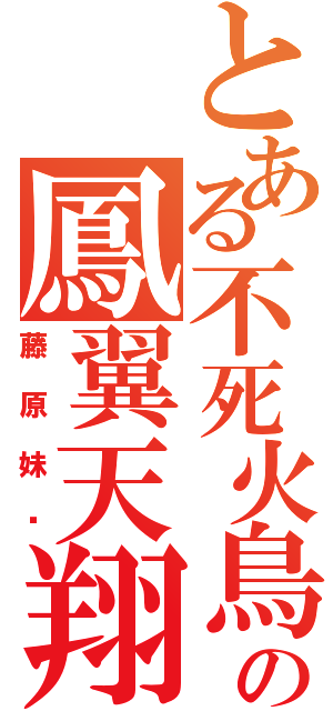 とある不死火鳥の鳳翼天翔（藤原妹红）