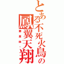 とある不死火鳥の鳳翼天翔（藤原妹红）