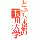 とある八木橋の玉川大学（タマダイ）