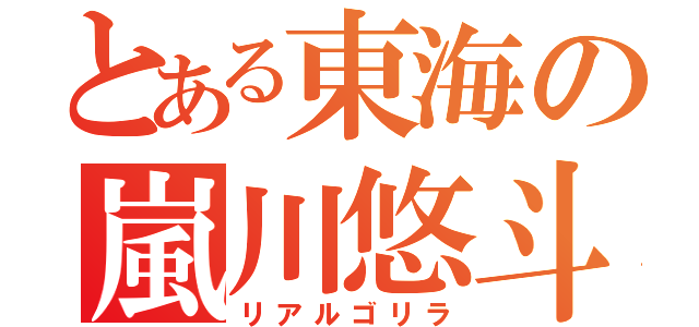 とある東海の嵐川悠斗（リアルゴリラ）