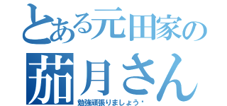 とある元田家の茄月さん（勉強頑張りましょう‼）