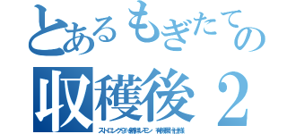 とあるもぎたての収穫後２４時間（ストロング９％新鮮レモン　有機果汁仕様）