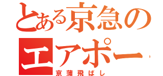 とある京急のエアポート快特（京蒲飛ばし）