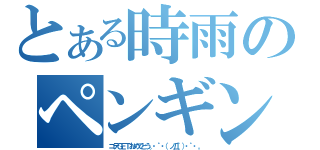 とある時雨のペンギン（コテＧＥＴおめでとう。・゜・（ノД｀）・゜・。）