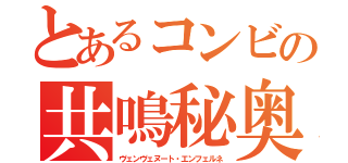 とあるコンビの共鳴秘奥義（ヴェンヴェヌート・エンフェルネ）