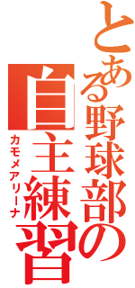 とある野球部の自主練習（カモメアリーナ）