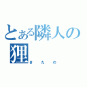 とある隣人の狸（きたの）