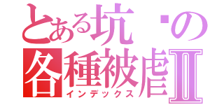 とある坑爹の各種被虐Ⅱ（インデックス）