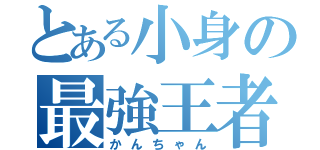 とある小身の最強王者（かんちゃん）