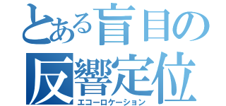 とある盲目の反響定位（エコーロケーション）